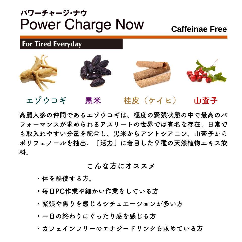 パワーチャージ・ナウ【カフェインレス】 法人用商品