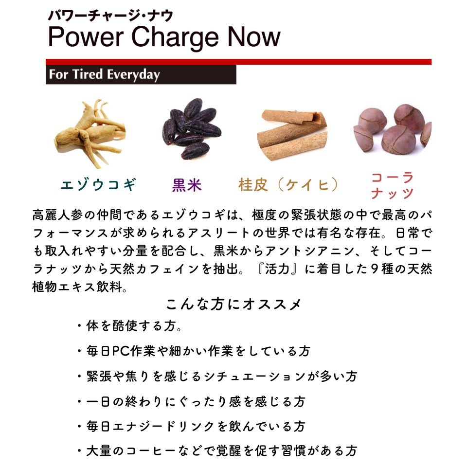 パワーチャージ・ナウ 法人用商品