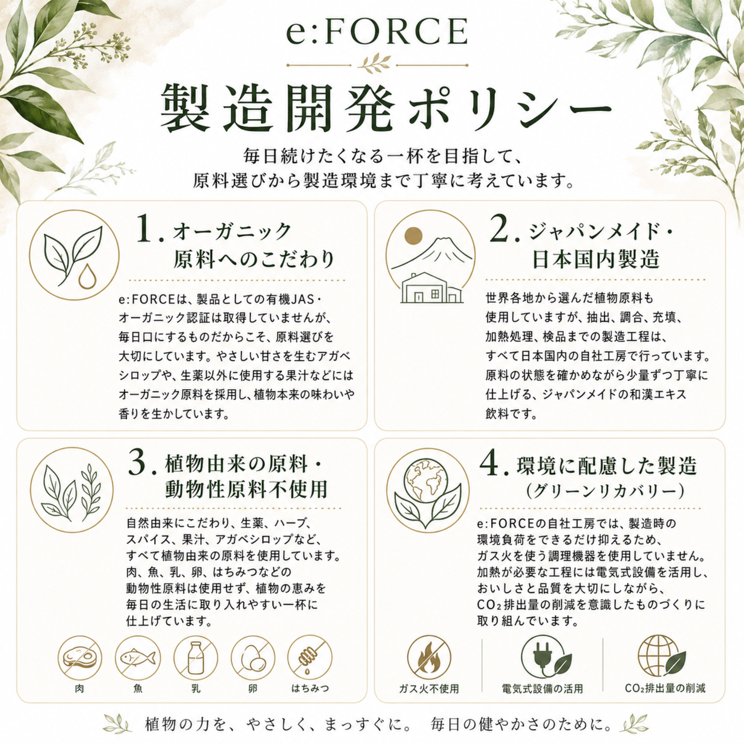 e:FORCE  全6種類セット350ｇ  味わいスタートセット　スタートクーポン付き　